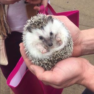 Meet your Posher, Tiffany